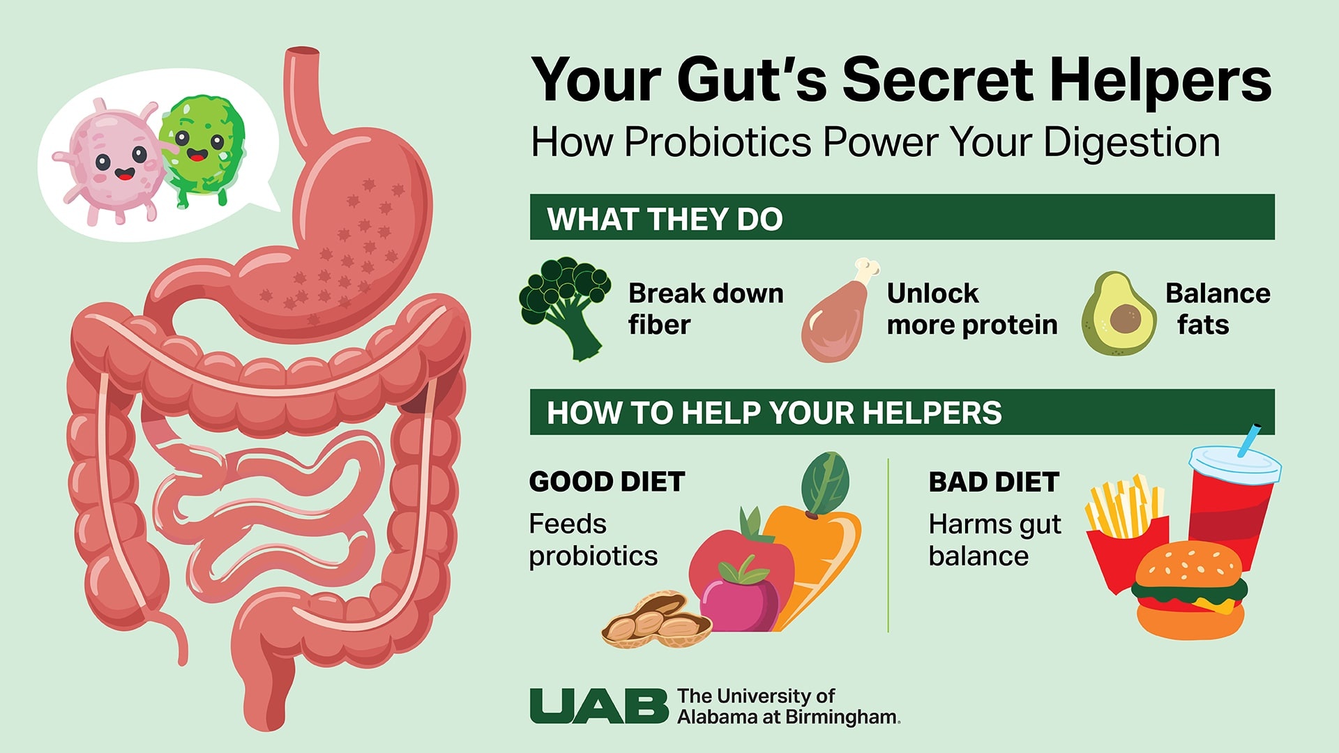 Probióticos: Todo lo que Necesitas Saber para tu Salud Digestiva